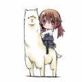 f4huahua 的頭像