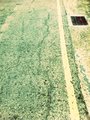 hn14108033 的頭像