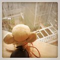 caca_catcat 的頭像