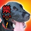 a-lone 的頭像