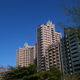 hengting 的頭像
