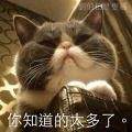 zasx3360 的頭像